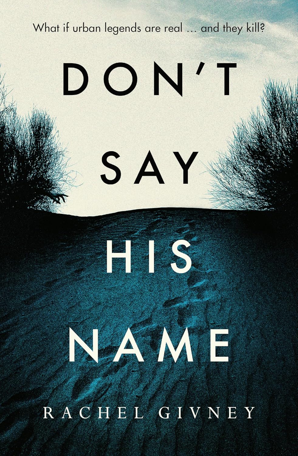 Don't Say His Name cover